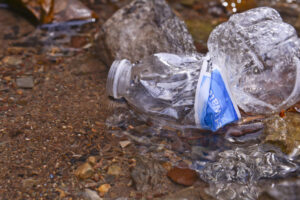 The Plastic Problem